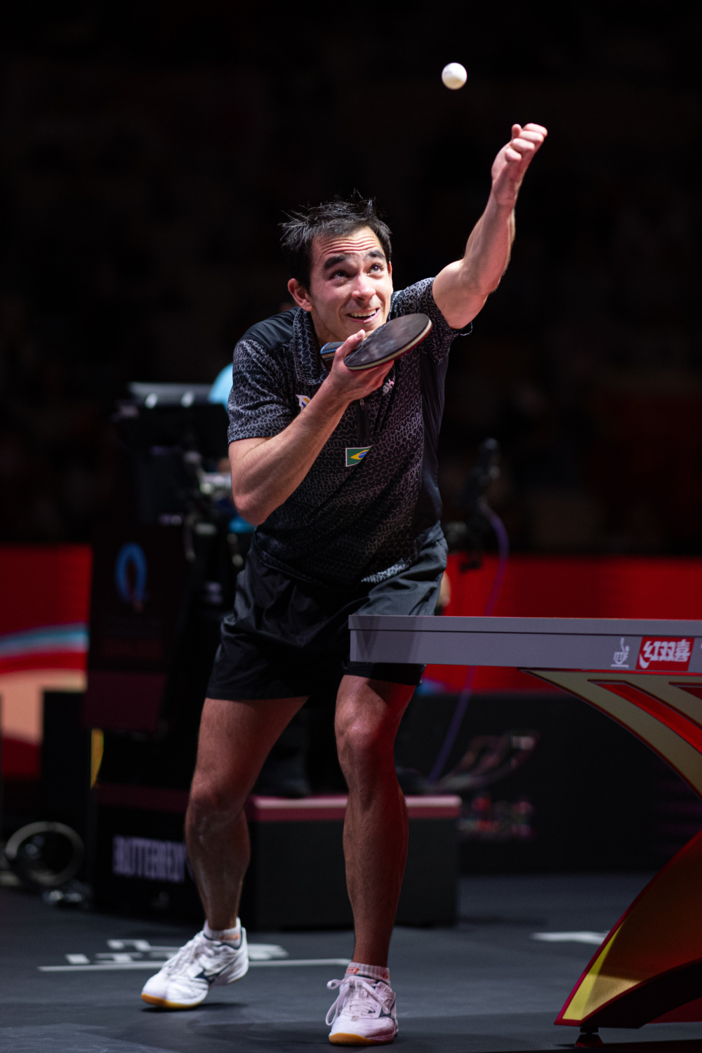 黄蜂主教练 黄蜂主教练