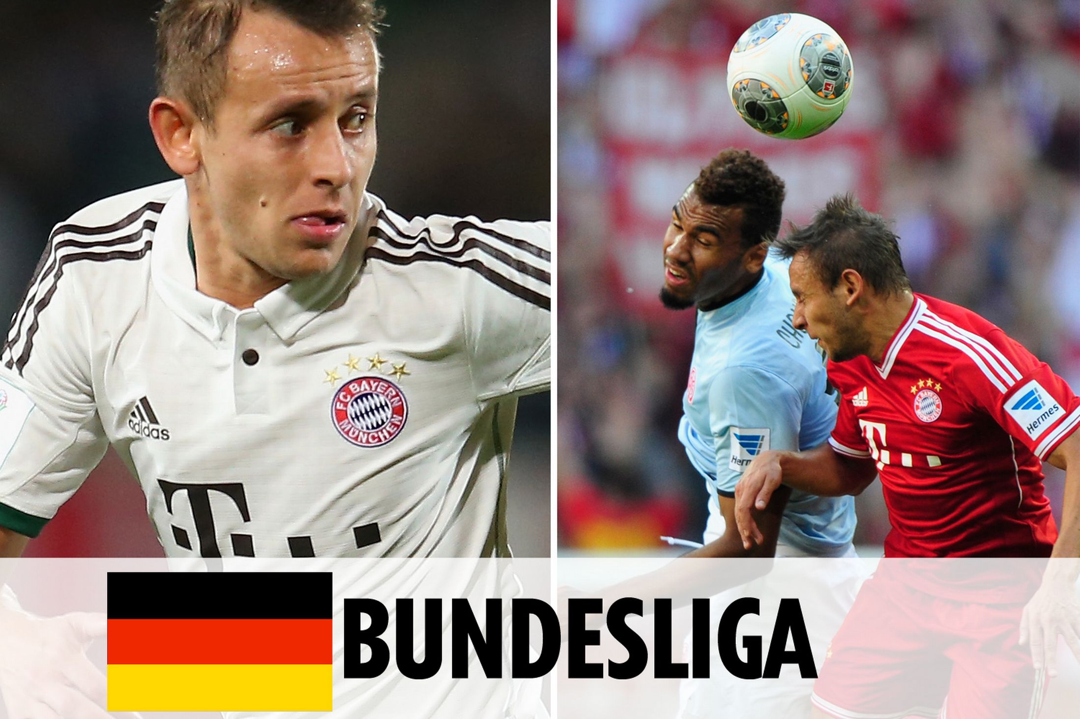 维护和拓展 维护和拓展