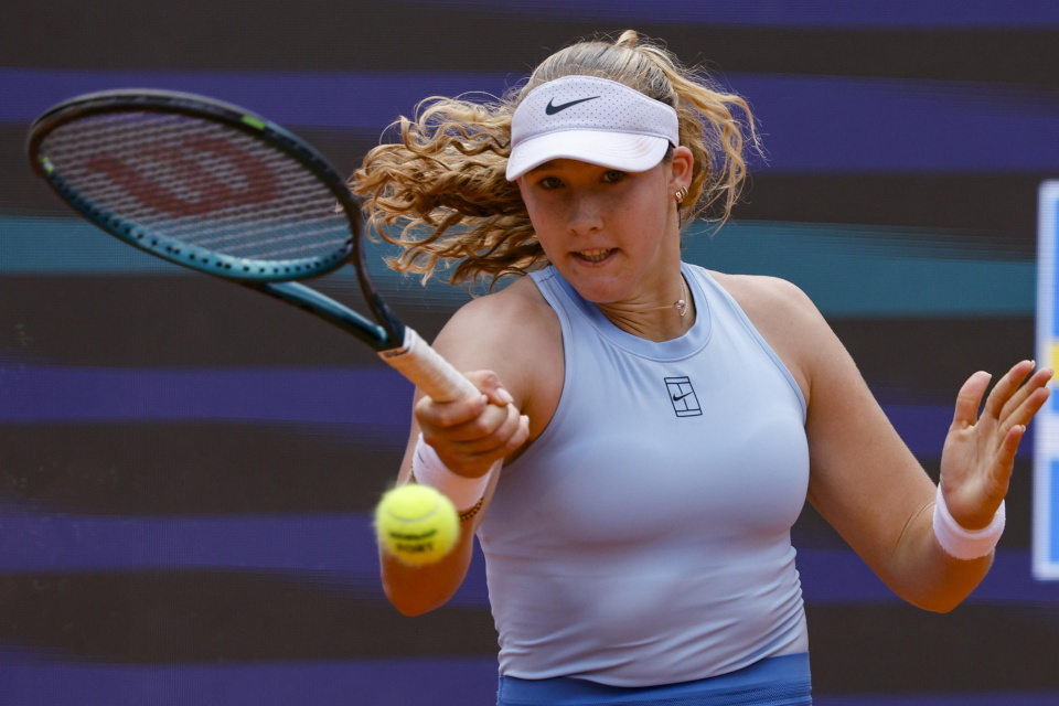 埃尔莫索的 埃尔莫索的