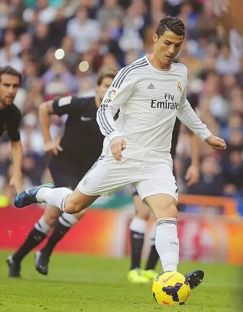 展奠定了基 展奠定了基